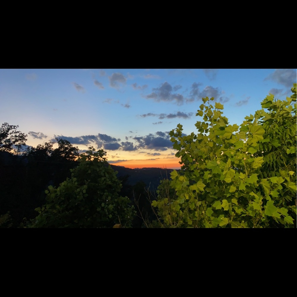 Meet your Posher, Hayley